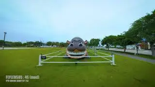 [4K] Flywoo Flylens 85S : Flow flight tarining.