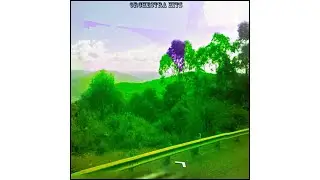 Decomposer - Wire Bug