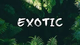 (FREE) Swae Lee Type Beat 2018 