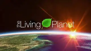 WWF Project