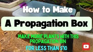 How to Make a Propagation Box - Propagation Tips & Tricks