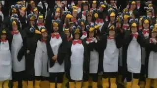 Video Extra: Penguin Costume World Record
