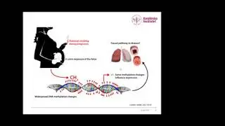 Length of pregnancy alters the child's DNA