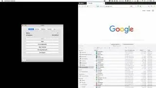 New XAMPP for Mac - Run files in htdocs