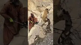 Rare Stone in Mountains 🏔️ #shorts #mining #trending