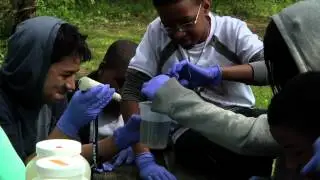 Project BIOEYES - 2012