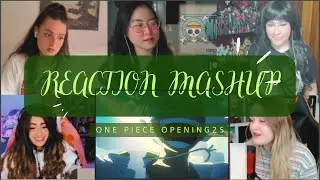 One Piece Opening 25 Reaction Mashup