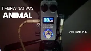 Valeton G-5 Timbres Nativos // S&atilde;o Animal De Mais 🔥🔥