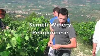 Premier Wines | Modern Greek Wines