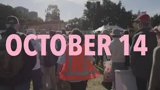 Vote Yes on October 14