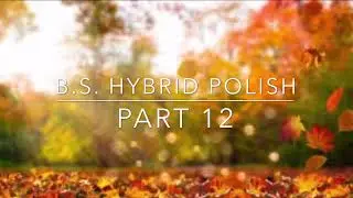 B.S. HYBRID POLISH (PART 12)