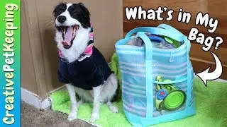 What's in my Bag? | Dog Camping Supplies