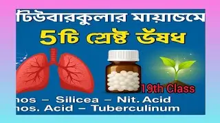 🙏  টিউবারকুলার মায়াজমের ৫টি শ্রেষ্ঠ ঔষধ | Tubercular Miasm Explained | Homeopathy Study&rdquo; Lm.🌹❤️💯