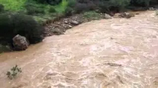 El Tamujoso (Adamuz)