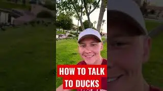 how to talk to ducks 🦆 #shorts #oleksandrkalinin #ducks
