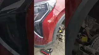 Kia Sonnet Rat Mesh Installation