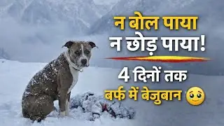 4 दिनों तक एक कुत्ता बर्फ़ में खड़ा रहा अपने मालिक के शव के पास।। वफादारी का मिशाल बना ये कुत्ता।।