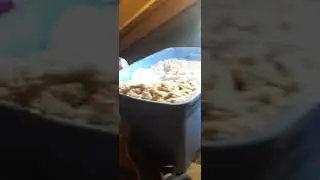 Blow in insulation without the expensive machine DIY ( celulose only. not fiberglass )