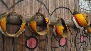 Colombian Amazon, Vaupes: after the ritual