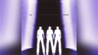 hoax - PULSATE (Official Audio)