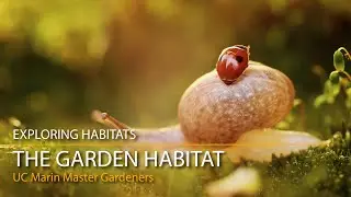 The Garden Habitat - Exploring Habitats