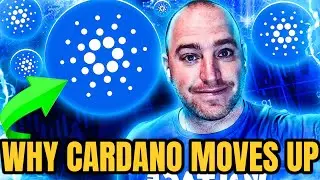 ADA CARDANO NOT LIKELY TO STAY AT NUMBER 10 FIND OUT WHY!