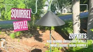Easy-to-Assemble Squirrel Baffle for Bird Feeding Poles- no more squirrels! Review