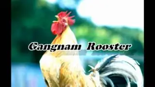 Gangam - Rooster ReMiX