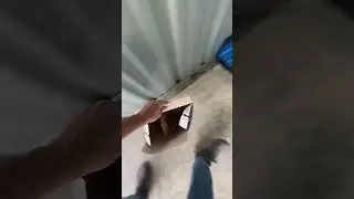 Storage unit clean out
