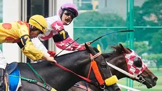 DUANGJAI PHEE - 09/11/2025 - Race 6 - Country-Bred Class 5B
