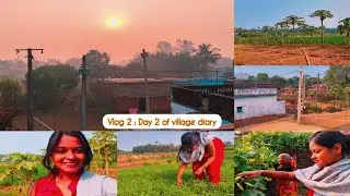 Day 2 of village diary | Vlog - 2 | Village life 