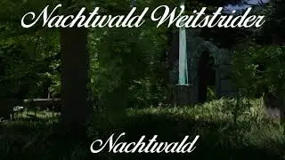 Nachtwald