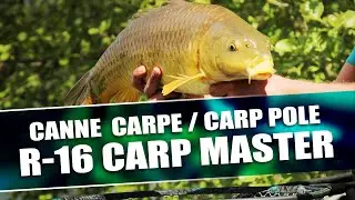 CANNE RIVE - R16 CARP MASTER