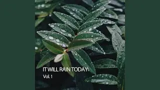 Rainfall