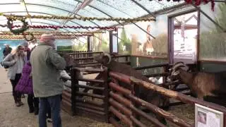 Christmas at Hatton Adventure World