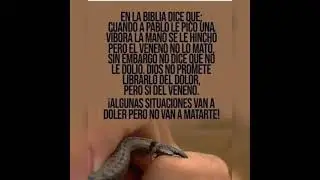 Pista Mi Trabajo es Creer - Tono para Mujer.