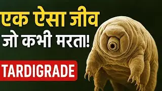 &ldquo;एक ऐसा जीव जो कभी नहीं मरता! | Tardigrade &ndash; Water Bear | Jivant YT Studio&rdquo;