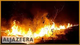 Bolivia's Morales asks for help to quell Amazon fires