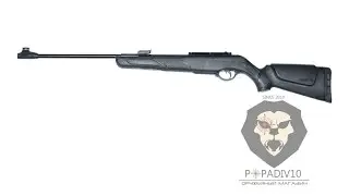 Пневматическая винтовка Gamo Shadow DX. Купить popadiv10.ru
