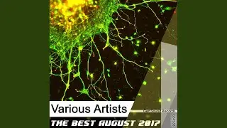 Aicid Space (Original Mix)