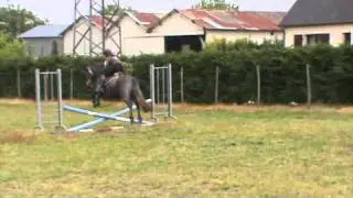 Twisty Boy obstacle