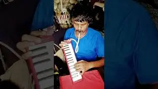 Find The BGM 2k Tamil Movie Song #shorts #vijay #dimman #melodica