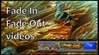 🎥 How to Fade In And Out your Video clips ? | PowerDirector 19(365) Tutorial