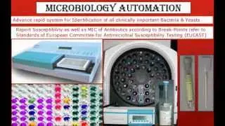 Path Lab Gurgaon | Diagnostic Center India | Diagnostic Services | Molq