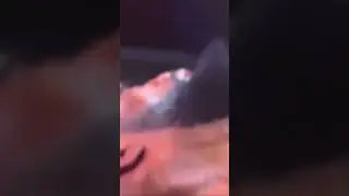 Tank vs Frank Knoutout highlight