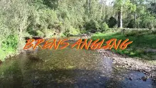 Howqua river trout fishing