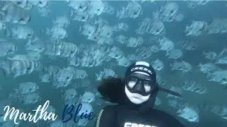 Bien alucinada buceando en Mazatl&aacute;n, card&uacute;menes y agua azul | Freediving at Mazatlan | Sub english