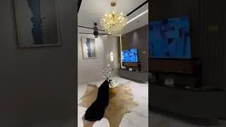 Excellent TV Lounge Design 10 Marla House For Sale Bahria Town Lahore #dreamhome #realestate #foryou