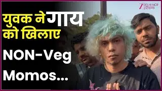 Gurugram Viral Video : युवक ने गाय को खिलाया नॉनवेज मोमोज | Cow Protection | Police | Zee DNH
