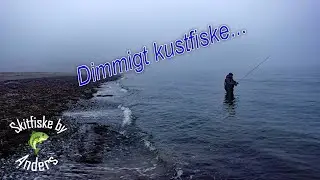 Kustfiske i dimman.